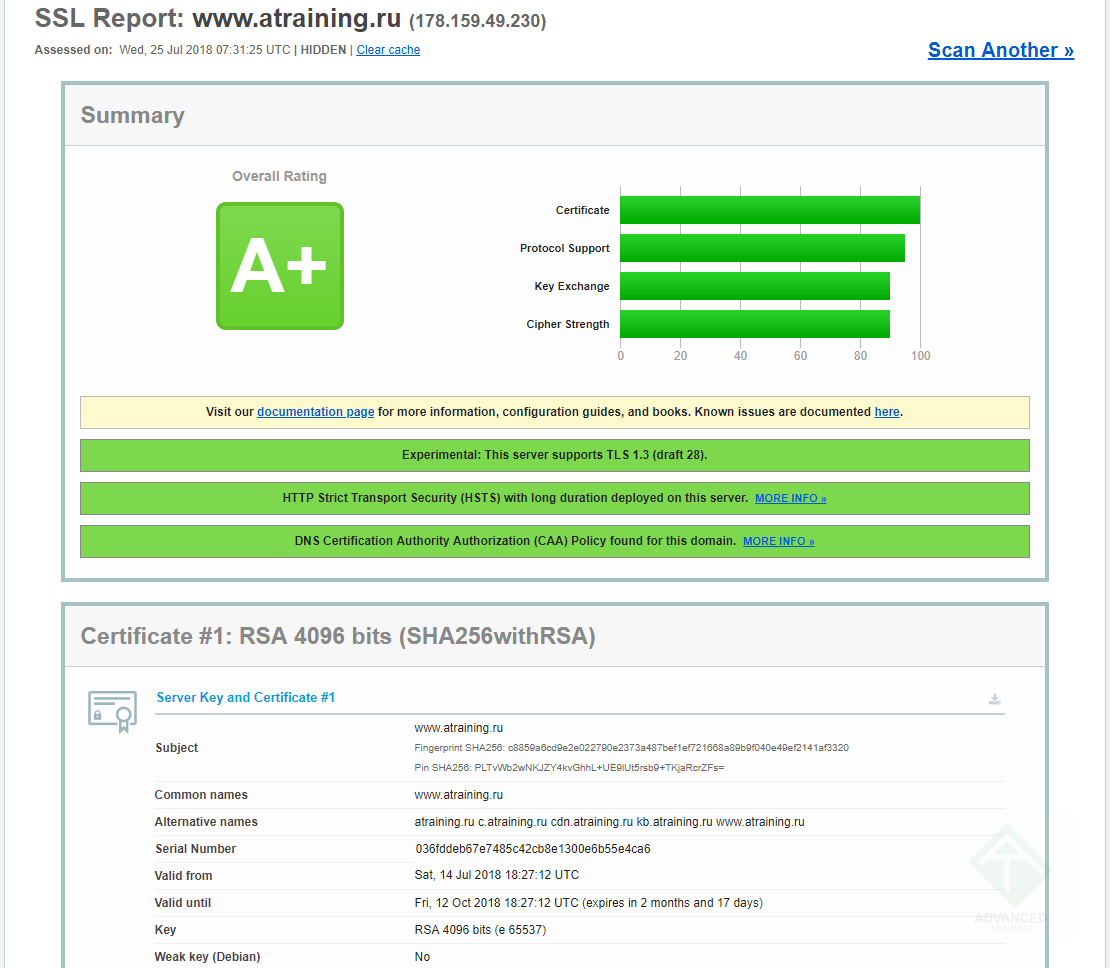 Настроенный TLS на сайте, картинка 1 Настроенный TLS на сайте, картинка 1