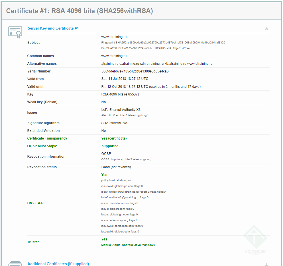 Настроенный TLS на сайте, картинка 2 Настроенный TLS на сайте, картинка 2