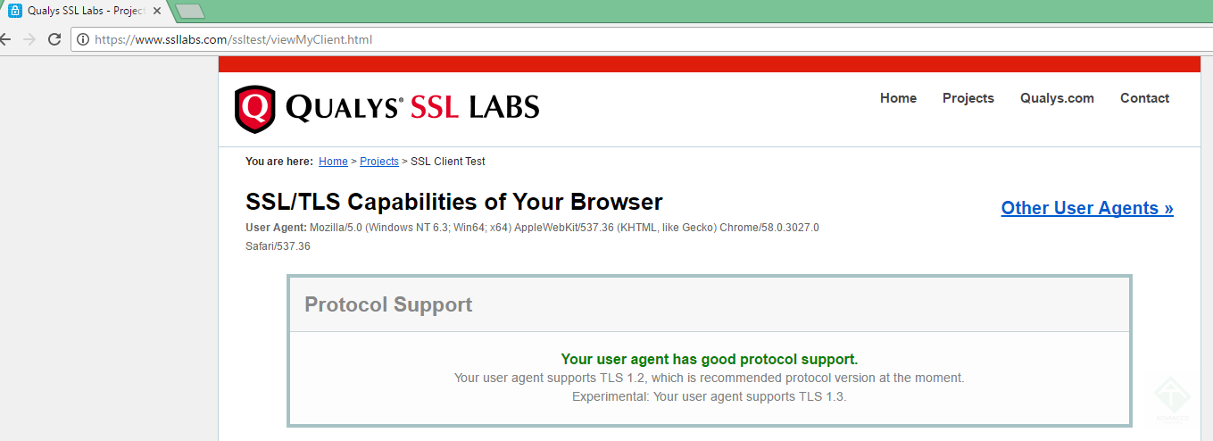 Результат тестирования браузера, поддерживающего TLS 1.3